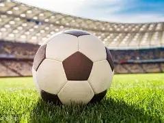 匹克球明星,阿加西,格拉芙领航,UED体育,UED体育app,UED体育官网,UED体育下载,UED体育入口